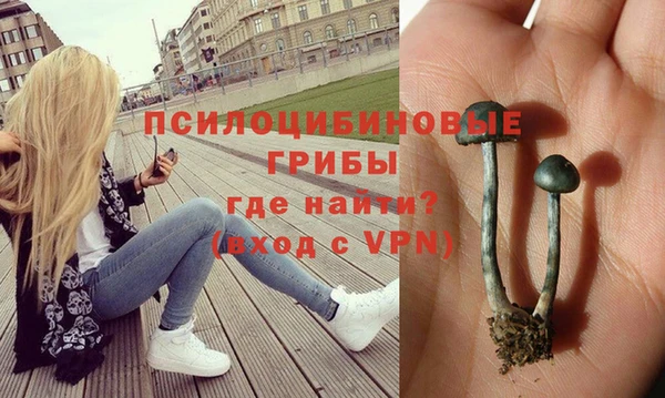 PSILOCYBIN Алексеевка
