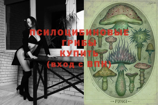 синтетический гашиш Алексин