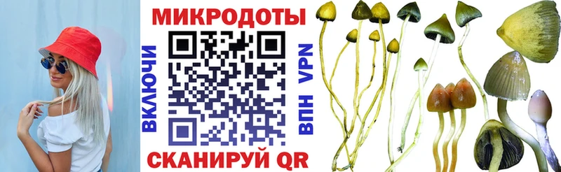 продажа наркотиков  Оханск  Псилоцибиновые грибы MAGIC MUSHROOMS 