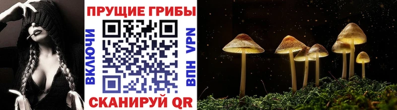 Псилоцибиновые грибы мухоморы Оханск